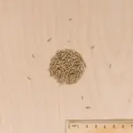 Soin regarnissage - Soin Pansement 2 en 1 - 25 g (x10) - MEDIA_3D